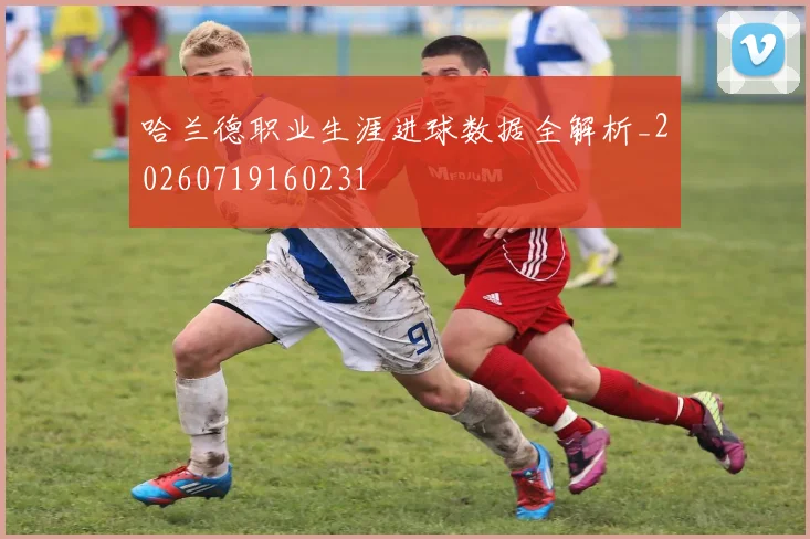 哈兰德职业生涯进球数据全解析_20260719160231