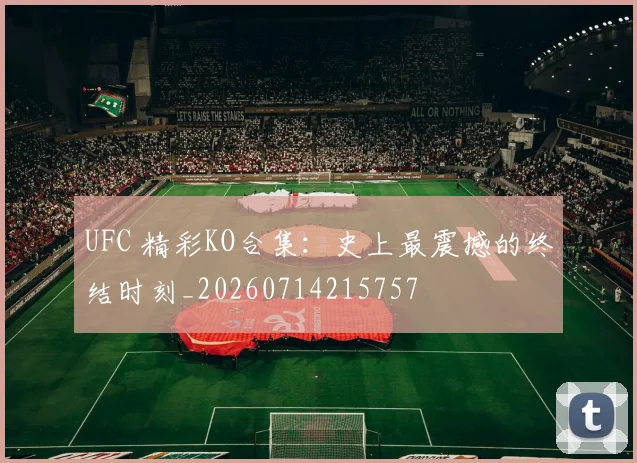 UFC 精彩KO合集:史上最震撼的终结时刻_20260714215757