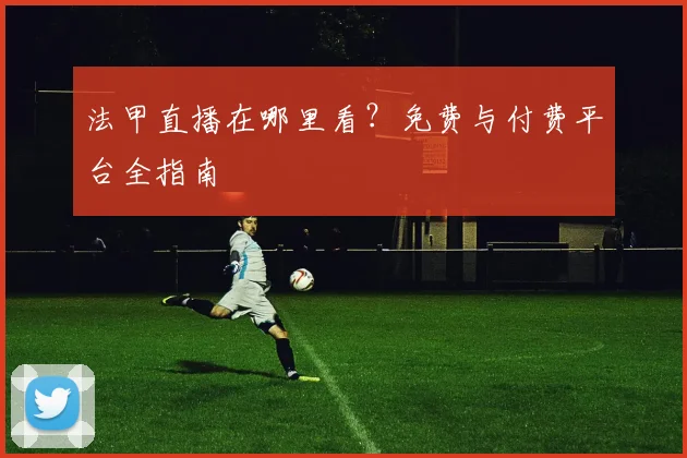 法甲直播在哪里看?免费与付费平台全指南