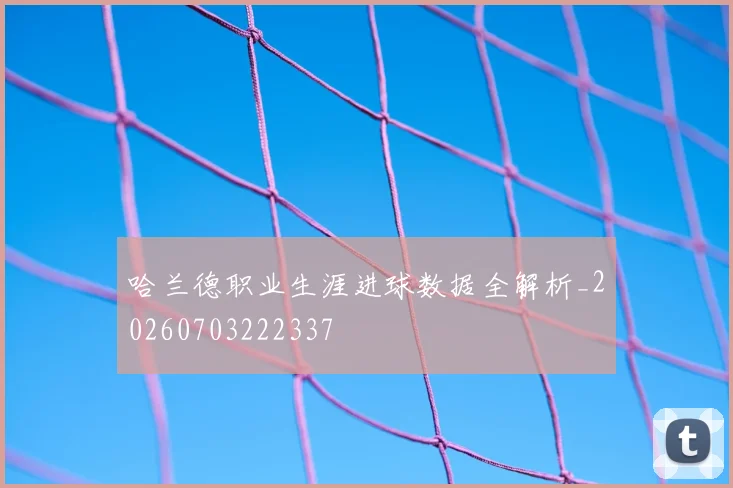 哈兰德职业生涯进球数据全解析_20260703222337